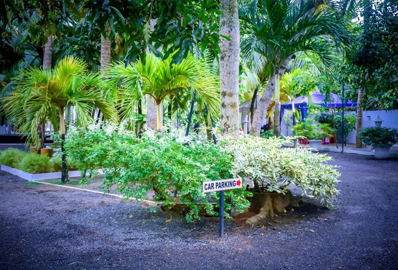 Auberge de jeunesse Tamarind Moon à Dikwella Extérieur photo